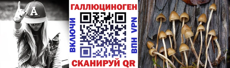 наркошоп  Саратов  Галлюциногенные грибы мухоморы 